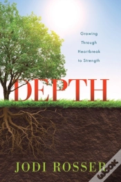Capa do artigo Depth