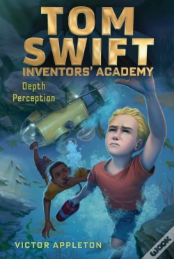 Capa do artigo Depth Perception
