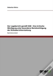 Der Lagebericht Gemaã‚Â¤Ay Hgb - Eine Kritische Wardigung Unter Besonderer Beracksichtigung Der Risikoberichterstattung