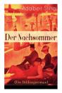 Der Nachsommer (Ein Bildungsroman) - Preview