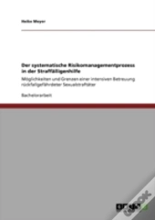 Der Systematische Risikomanagementprozess In Der Straffaã‚Â¤Lligenhilfe