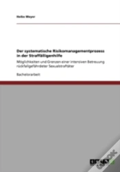Capa do artigo Der Systematische Risikomanagementprozess In Der Straffaã‚Â¤Lligenhilfe