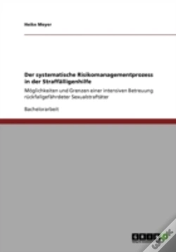 Capa do artigo Der Systematische Risikomanagementprozess In Der Straffaã‚Â¤Lligenhilfe
