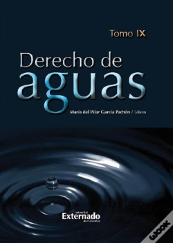 Capa do artigo Derecho De Aguas