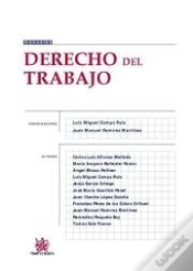 Capa do artigo Derecho Del Trabajo