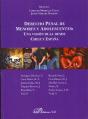 Derecho Penal De Menores Y Adolescentes: Una Visión Dual Desde Chile Y España - Preview