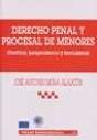 Derecho Penal Y Procesal De Menores - Preview