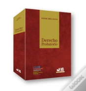 Capa do artigo Derecho Probatorio.