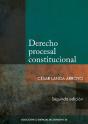 Derecho Procesal Constitucional (2da. Edición) - Preview