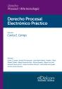 Derecho Procesal Electrónico Práctico - Preview