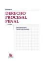 Derecho Procesal Penal - Preview
