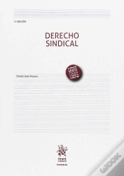 Capa do artigo Derecho Sindical 2ª Edición 2017