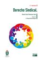 Derecho Sindical - Preview