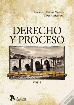 Capa do artigo Derecho Y Proceso.