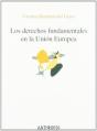 Derechos Fundamentales En La Union Europea - Preview