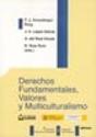 Derechos Fundamentales, Valores Y Multiculturalismo - Preview