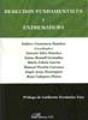 Derechos Fundamentales Y Extremadura - Preview