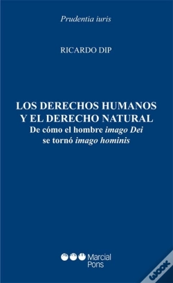 Capa do artigo Derechos Humanos Y El Derecho Natural, Los