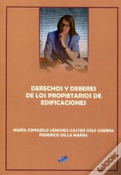 Capa do artigo Derechos Y Deberes De Los Propietarios De Edificaciones