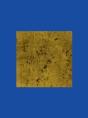 Derek Jarman'S Sketchbooks (Deluxe Edition) - Preview