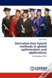 Capa do artigo Derivative-Free Hybrid Methods In Global Optimization And Applications