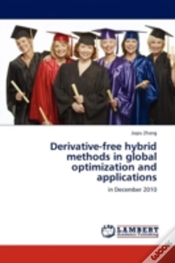 Capa do artigo Derivative-Free Hybrid Methods In Global Optimization And Applications