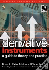 Derivative Instruments