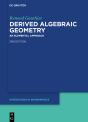 Derived Algebraic Geometry - Preview