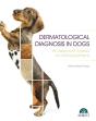 Dermatologic Diagnosis In Dogs. An Approach Based On Clinical Patterns - Preview