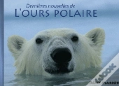 Dernieres Nouvelles De L'Ours Polaire