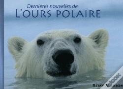 Capa do artigo Dernieres Nouvelles De L'Ours Polaire