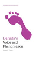 Derrida'S Voice And Phenomenon