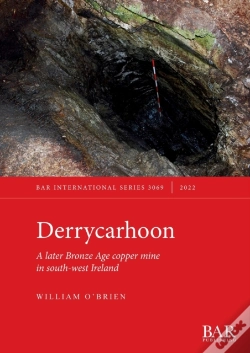 Capa do artigo Derrycarhoon