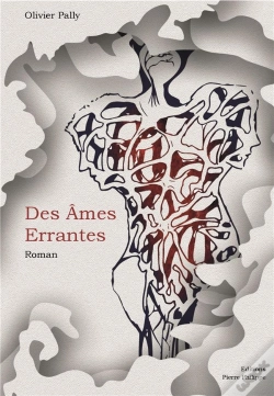 Capa do artigo Des Âmes Errantes
