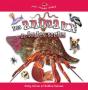 Des Animaux De Toutes Sortes - Preview