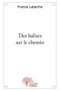 Des Balises Sur Le Chemin - Preview