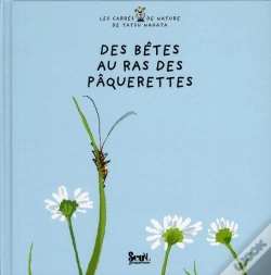 Capa do artigo Des Bêtes Au Ras Des Pâquerettes