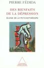 Des Bienfaits De La Depression ; Eloge De La Psychotherapie - Preview