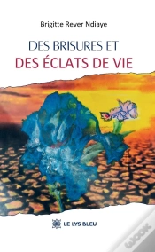 Capa do artigo Des Brisures Et Des Éclats De Vie