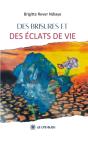 Des Brisures Et Des Eclats De Vie - Preview
