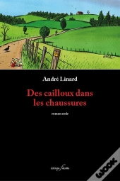 Des Cailloux Dans Les Chaussures.