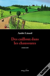 Capa do artigo Des Cailloux Dans Les Chaussures.