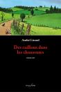 Des Cailloux Dans Les Chaussures - Preview