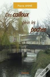 Capa do artigo Des Cailloux Plein Les Poches
