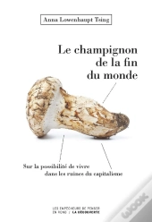 Des Champignons A La Fin Du Monde