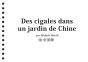 Des Cigales Dans Un Jardin De Chine - Preview