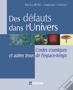 Capa do artigo Des Défauts Dans L'Univers ; Cordes Cosmiques Et Autres Trous De L'Espace-Temps