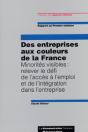 Des Entreprises Aux Couleurs De La France ; Minorites Visibles : Relever Le Defi De L'Acces A L'Emploi Et De L'Integrati - Preview