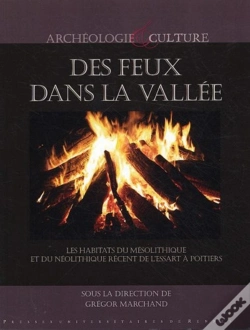 Capa do artigo Des Feux Dans La Vallée