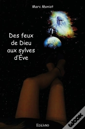 Capa do artigo Des Feux De Dieu Aux Sylves D